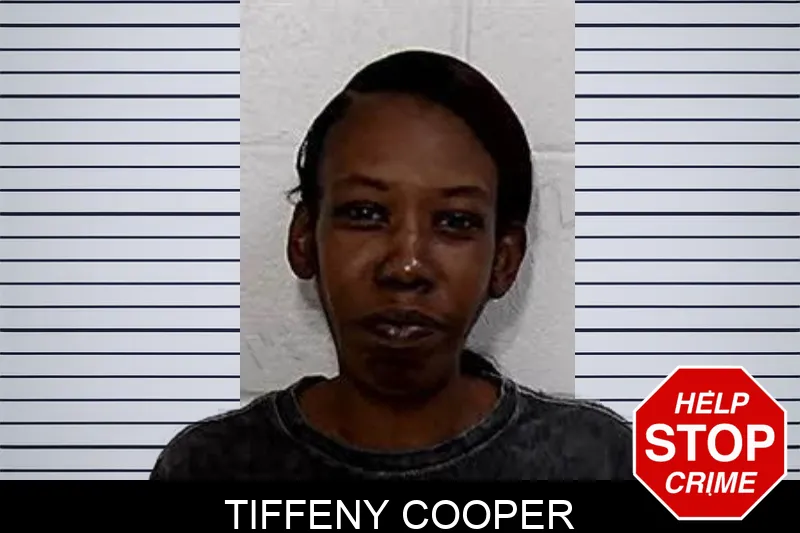 Tiffeny Cooper mugshot – Decatur County , Georgia Tiffeny Cooper mugshot