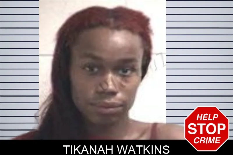Tikanah Watkins mugshot – Henry County , Georgia Tikanah Watkins mugshot