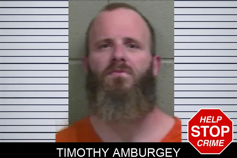 Timothy Amburgey mugshot – Wayne County , Georgia Timothy Amburgey mugshot
