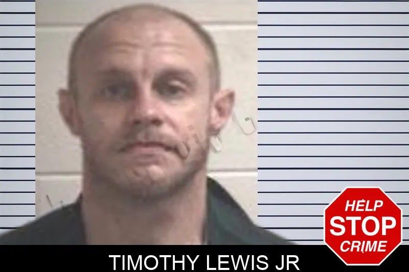 Timothy Lewis Jr mugshot