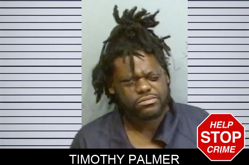 Timothy Palmer mugshot – Fulton County , Georgia Timothy Palmer mugshot