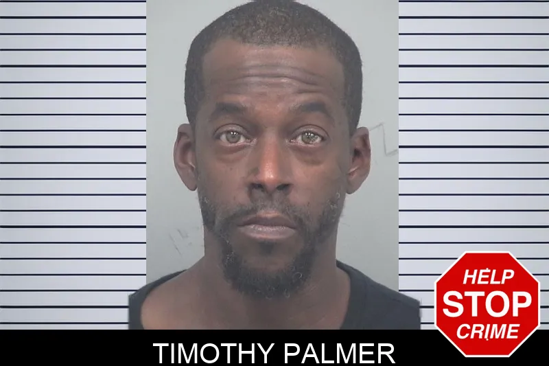Timothy Palmer mugshot – Gwinnett County , Georgia Timothy Palmer mugshot