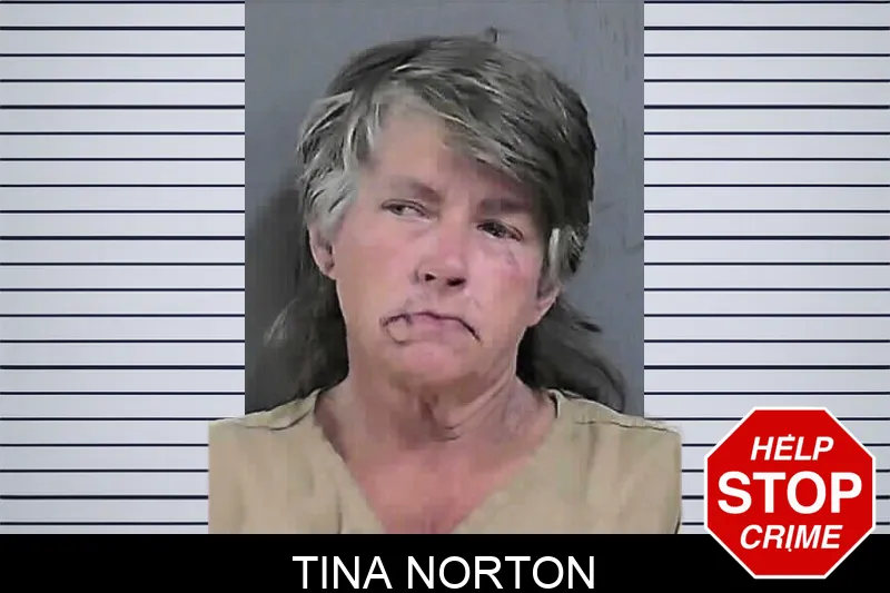 Tina Norton mugshot – Gordon County , Georgia Tina Norton mugshot