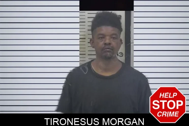 Tironesus Morgan