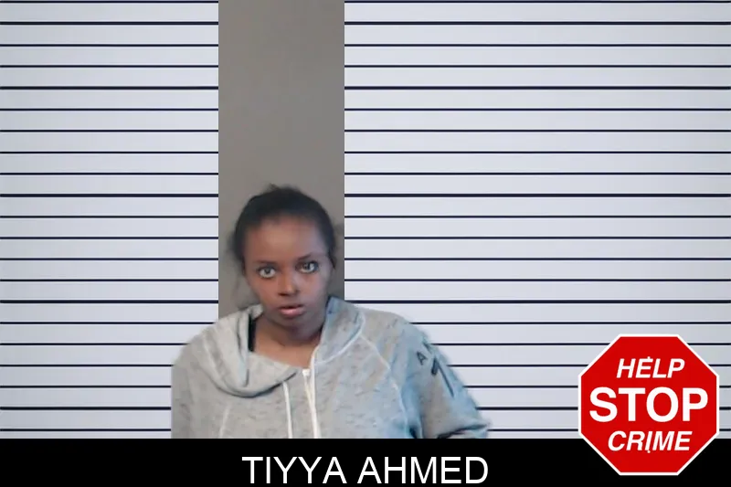 Tiyya Ahmed mugshot – DeKalb County , Georgia Tiyya Ahmed mugshot