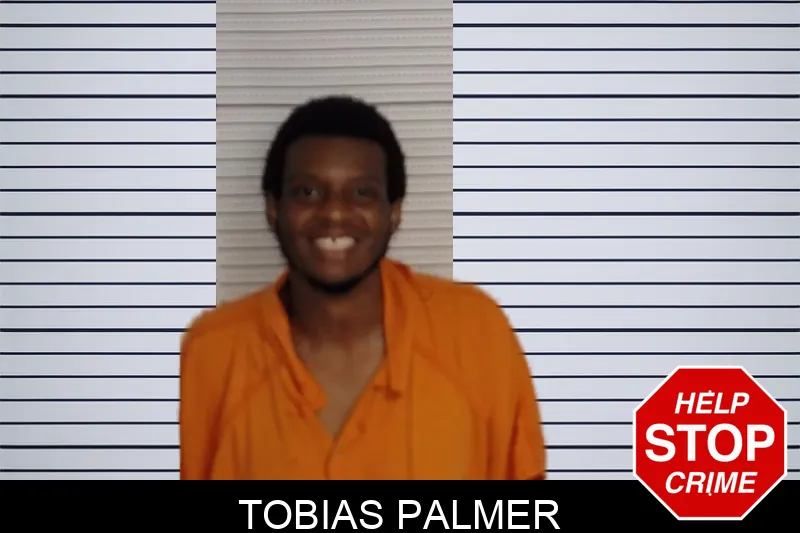 Tobias Palmer mugshot – Rockdale County , Georgia Tobias Palmer mugshot