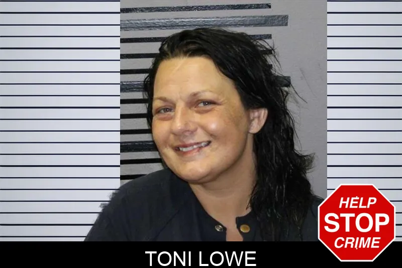 Toni Lowe mugshot – Thomas County , Georgia Toni Lowe mugshot