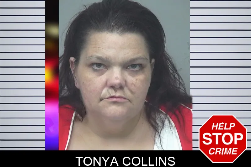 Tonya Collins mugshot – Gwinnett County , Georgia Tonya Collins mugshot