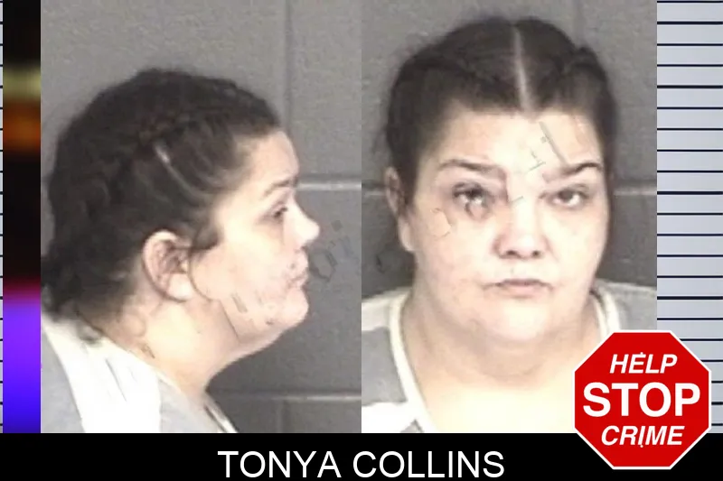 Tonya Collins mugshot