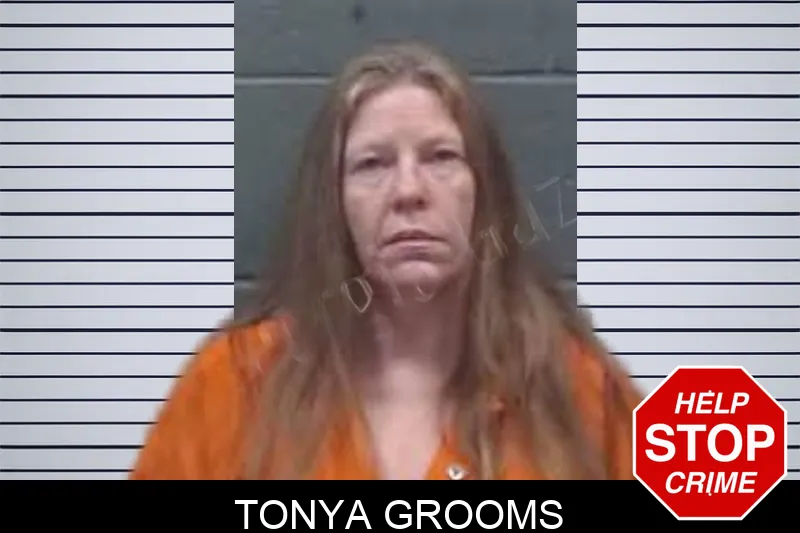 Tonya Grooms mugshot – Oglethorpe County , Georgia Tonya Grooms mugshot