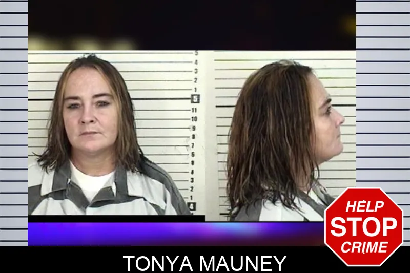 Tonya Mauney mugshot – Camden County , Georgia Tonya Mauney mugshot