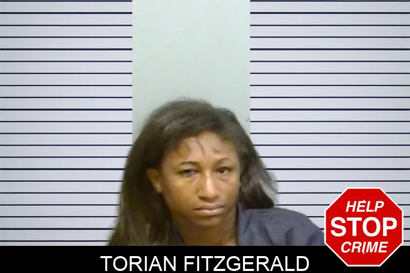 Torian Fitzgerald mugshot – Fulton County , Georgia Torian Fitzgerald mugshot