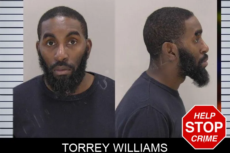 Torrey Williams mugshot