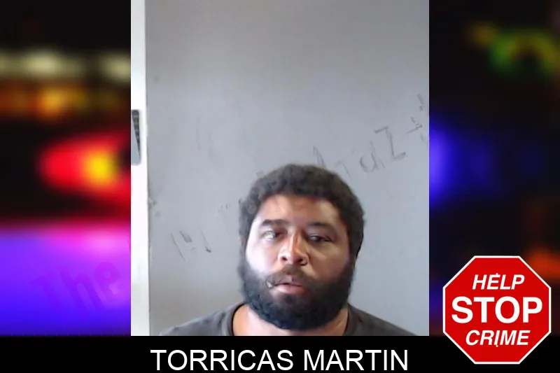 Torricas Martin mugshot – DeKalb County , Georgia Torricas Martin mugshot
