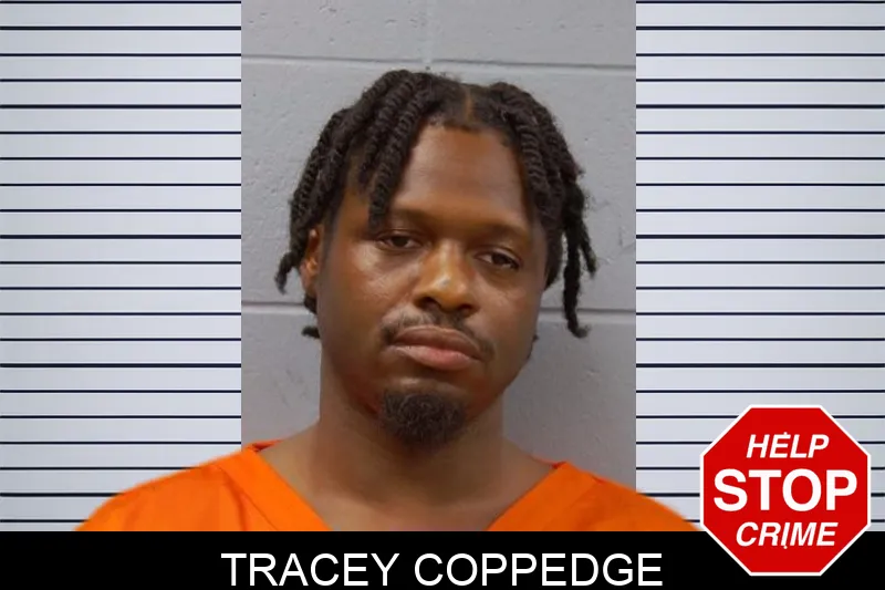 Tracey Coppedge mugshot – Candler County , Georgia Tracey Coppedge mugshot