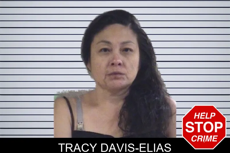 Tracy Davis-Elias mugshot – Whitfield County , Georgia Tracy Davis-Elias mugshot