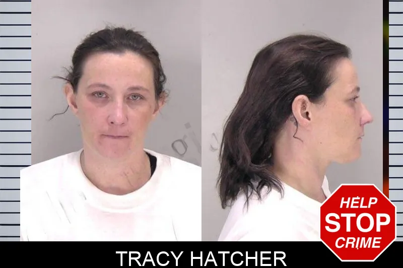 Tracy Hatcher mugshot