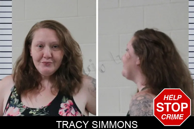 Tracy Simmons mugshot – Houston County , Georgia Tracy Simmons mugshot