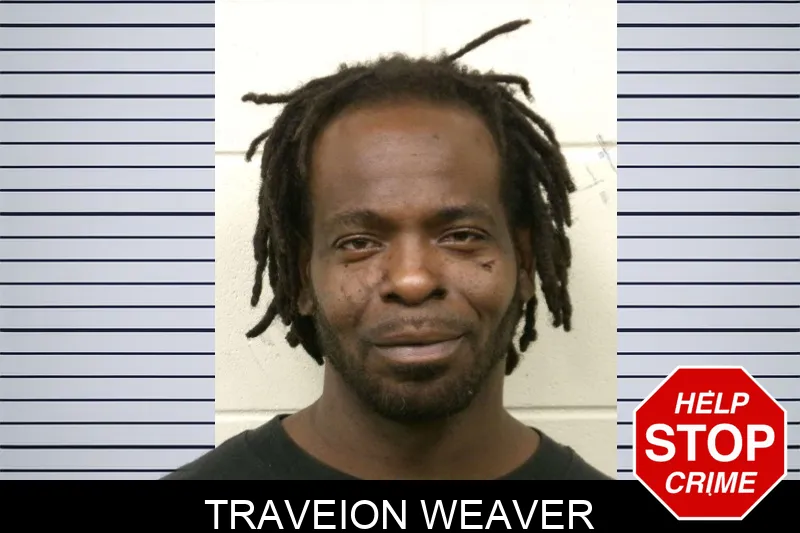 Traveion Weaver mugshot – Bulloch County , Georgia Traveion Weaver mugshot