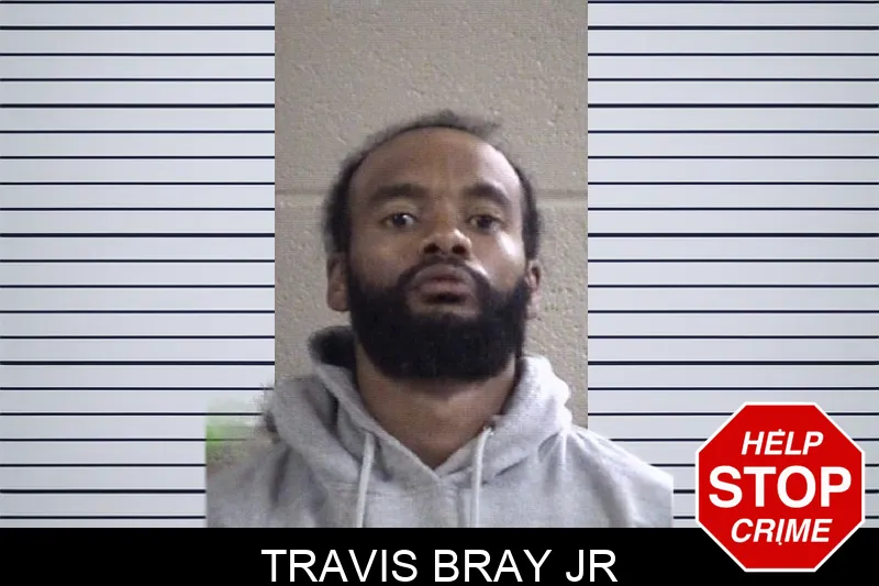 Travis Bray Jr mugshot