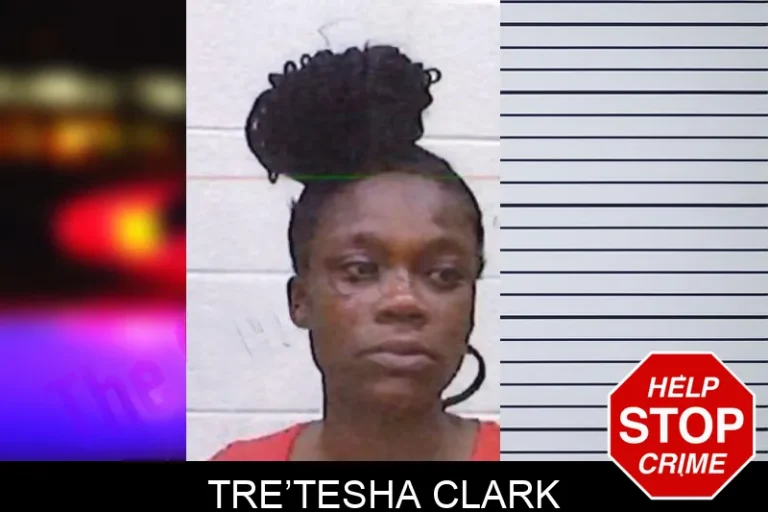 Tre’Tesha Clark mugshot – Screven County , Georgia Tre’Tesha Clark