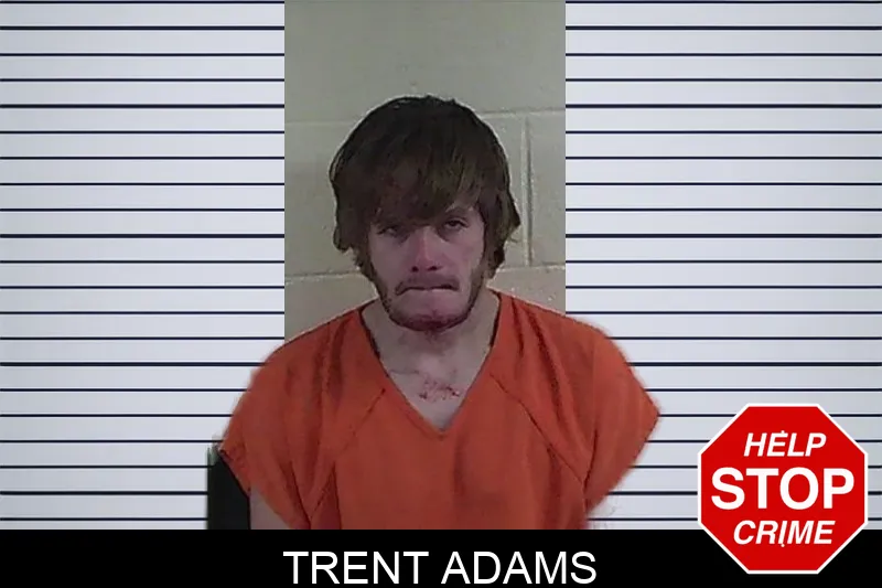 Trent Adams mugshot – Fannin County , Georgia Trent Adams mugshot