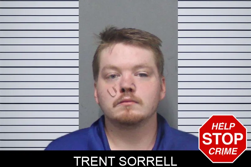 Trent Sorrell mugshot