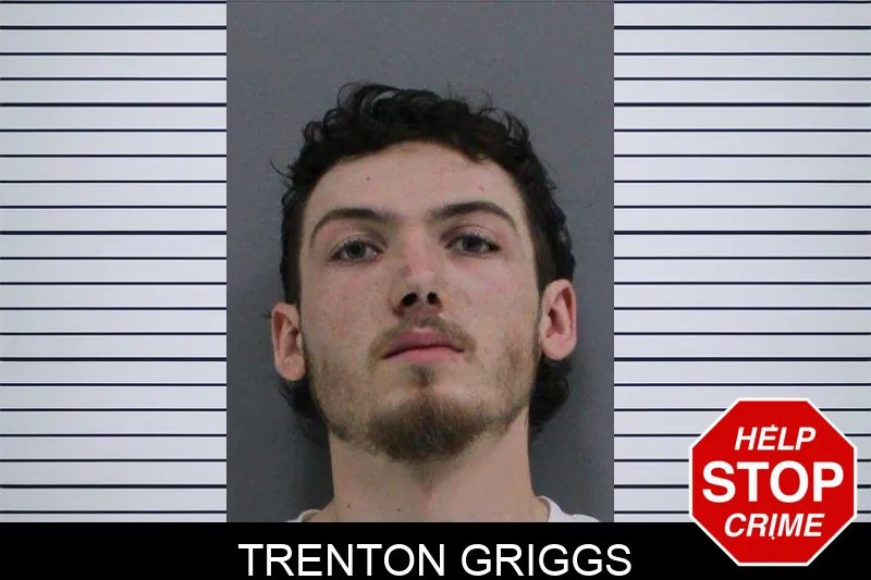 Trenton Griggs mugshot – Rabun County , Georgia Trenton Griggs mugshot