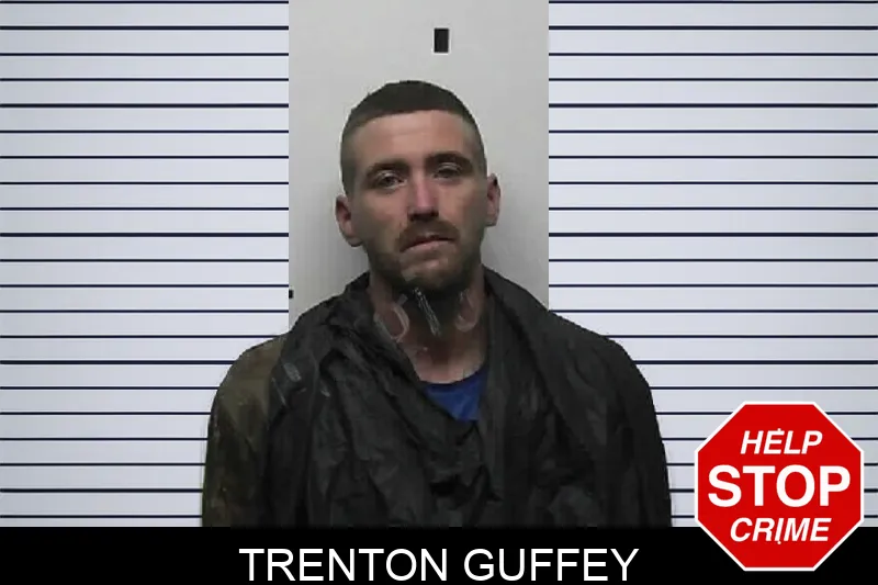 Trenton Guffey mugshot – Pike County , Georgia Trenton Guffey mugshot