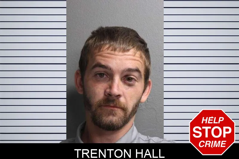 Trenton Hall mugshot