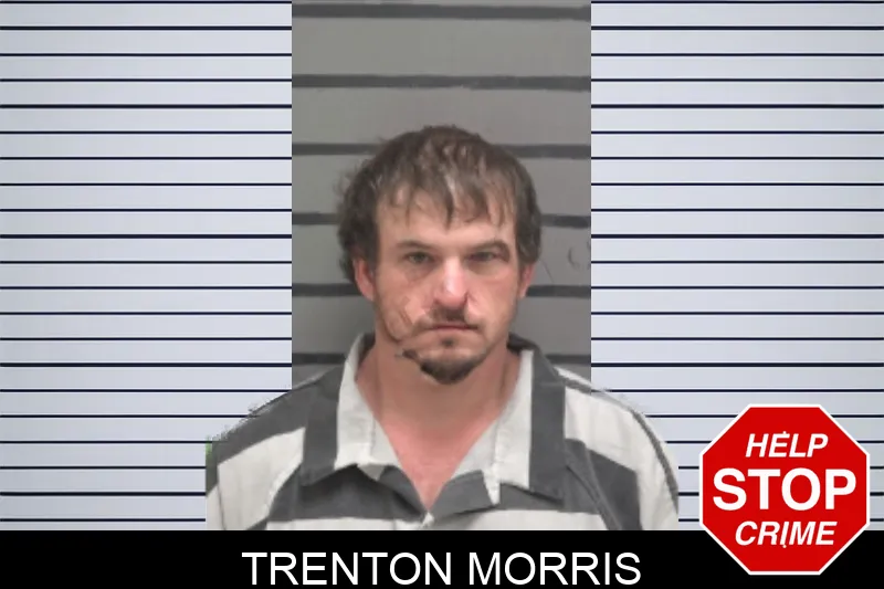 Trenton Morris mugshot – Dougherty County , Georgia Trenton Morris mugshot