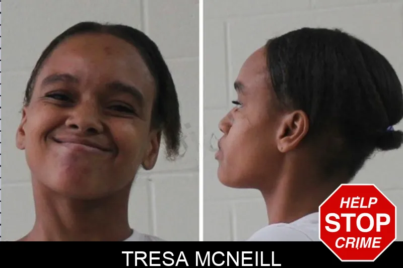 Tresa McNeill mugshot