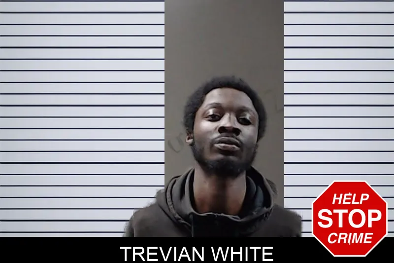 Trevian White mugshot – DeKalb County , Georgia Trevian White mugshot