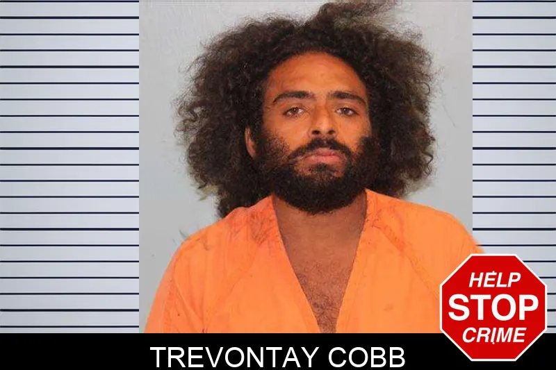 Trevontay Cobb mugshot – Grady County , Georgia Trevontay Cobb mugshot
