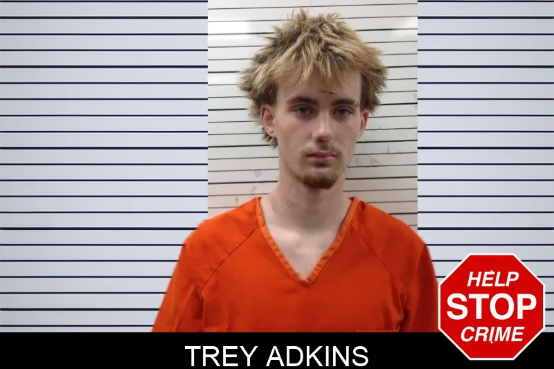 Trey Adkins mugshot – Pickens County , Georgia Trey Adkins mugshot