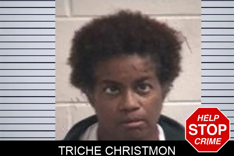 Triche Christmon mugshot – Henry County , Georgia Triche Christmon mugshot