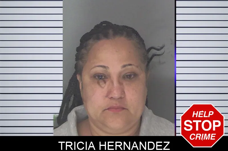 Tricia Hernandez mugshot