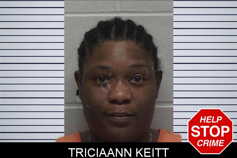 Triciaann Keitt mugshot – Laurens County , Georgia Triciaann Keitt mugshot