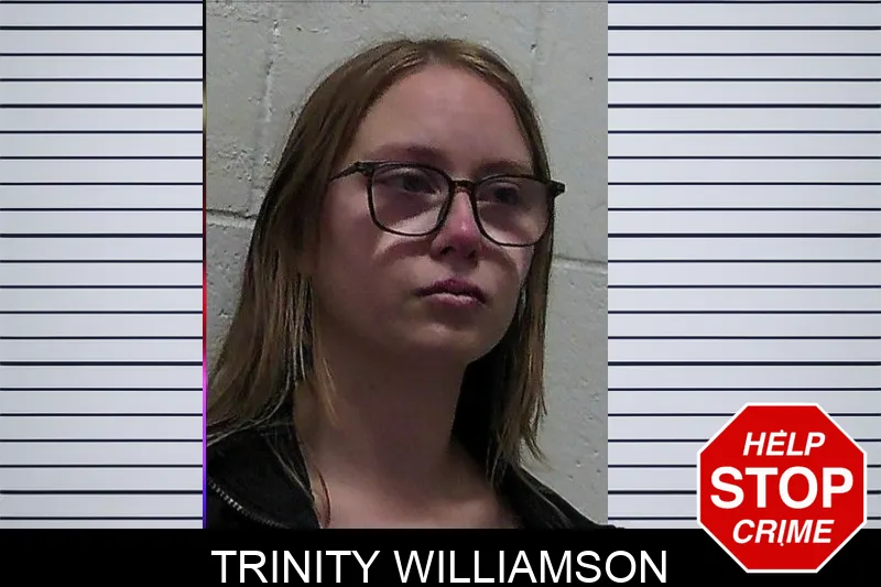 Trinity Williamson mugshot – Pierce County , Georgia Trinity Williamson mugshot