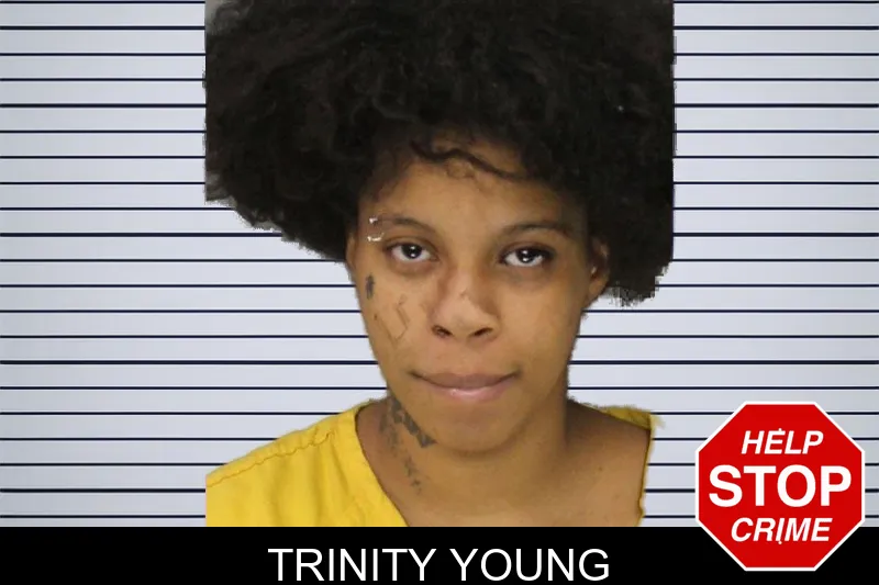 Trinity Young mugshot – Cobb County , Georgia Trinity Young mugshot