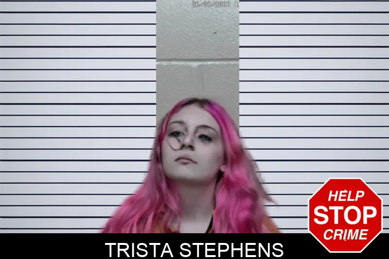 Trista Stephens mugshot – Ben Hill County , Georgia Trista Stephens mugshot