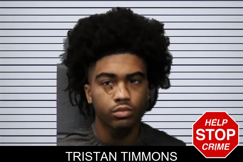 Tristan Timmons mugshot – Forsyth County , Georgia Tristan Timmons mugshot