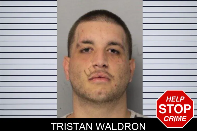 Tristan Waldron mugshot – Hall County , Georgia Tristan Waldron mugshot