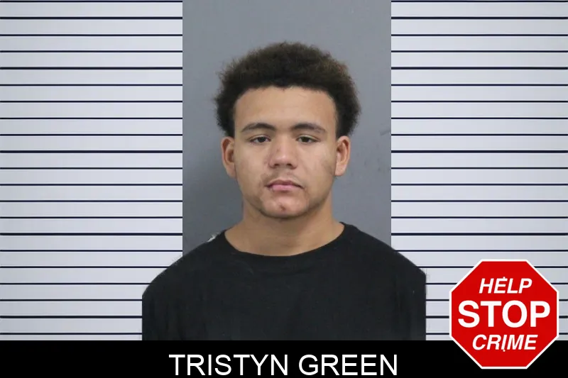 Tristyn Green mugshot – Catoosa County , Georgia Tristyn Green mugshot