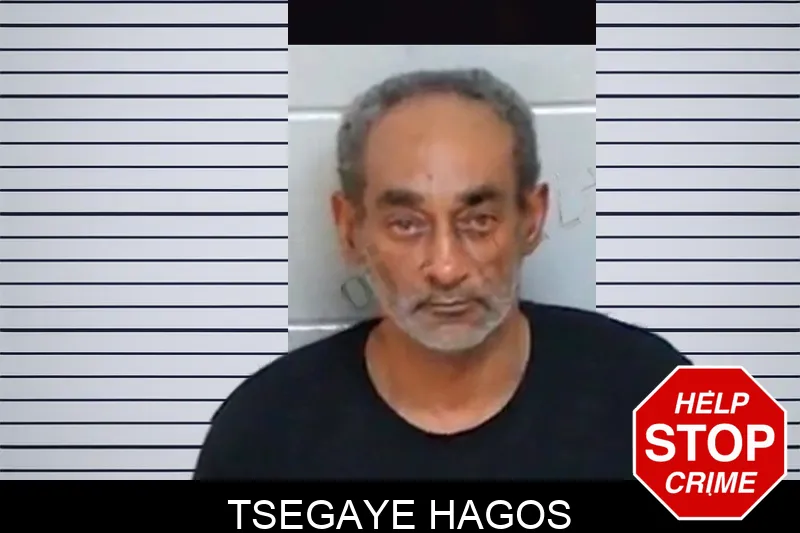 Tsegaye Hagos mugshot – Morgan County , Georgia Tsegaye Hagos mugshot