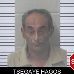 Tsegaye Hagos mugshot – Newton County , Georgia Tsegaye Hagos mugshot