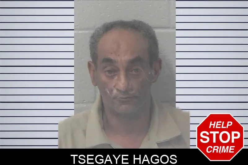 Tsegaye Hagos mugshot – Newton County , Georgia Tsegaye Hagos mugshot