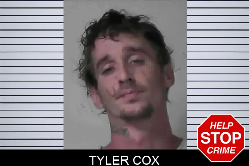Tyler Cox mugshot