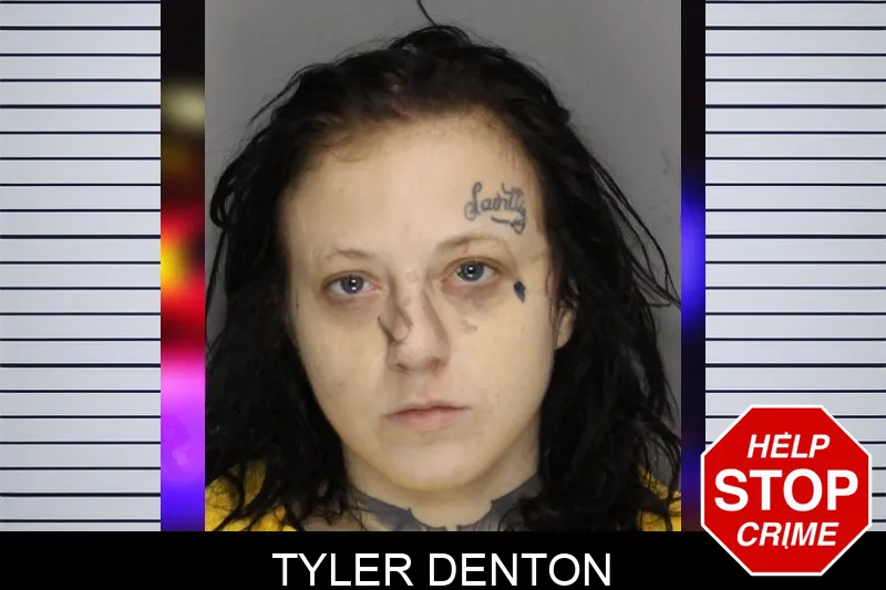 Tyler Denton mugshot