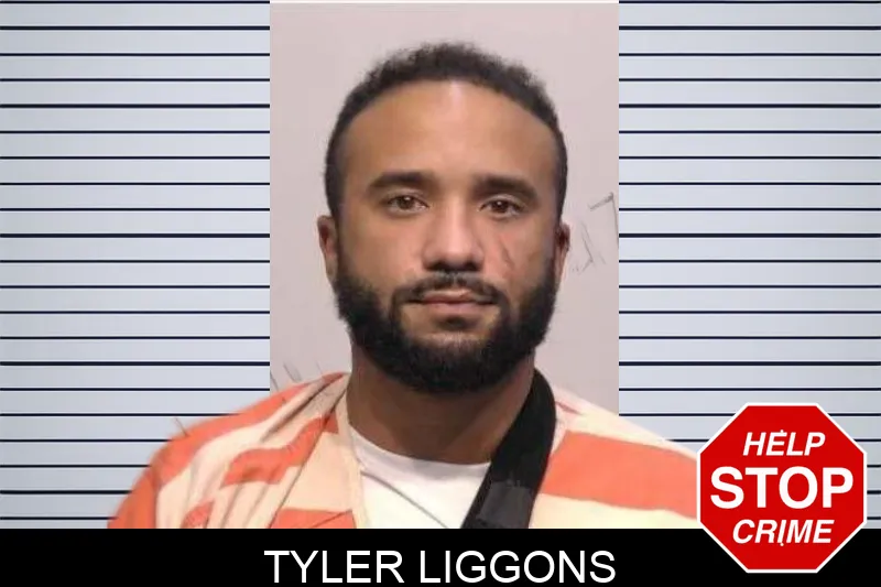Tyler Liggons mugshot